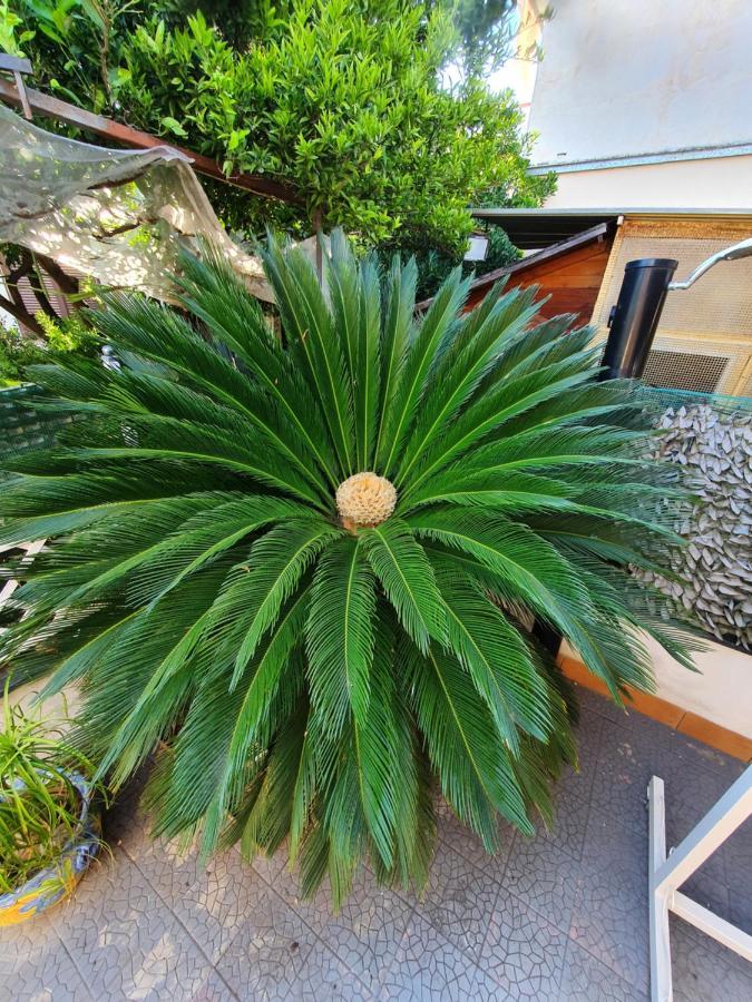 Apartamento My Dream House Angri Exterior foto